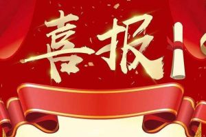 关于2022年度人力资源服务评选结果的通报，祝贺宝威官网在线服务_宝威online（中国）集团