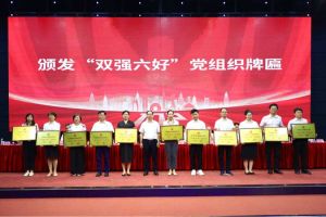喜报！宝威官网在线服务_宝威online（中国）集团党支部荣获广州市非公有制经济组织“双强六好”党