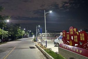 宝威官网在线服务_宝威online（中国）集团罗宁弟爱心捐赠路灯，点亮乡村路温暖乡民心